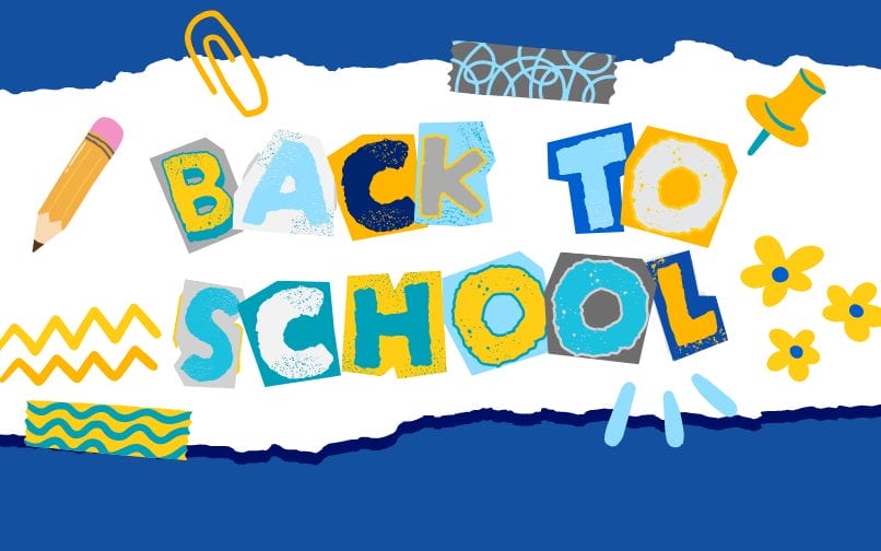 Welcome back to NCVA