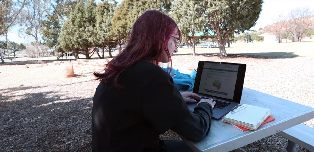 girl using her computer at the park